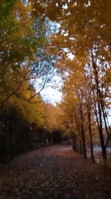 Осень Креатово