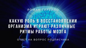 Какую роль в восстановлении организма играют различные ритмы работы мозга