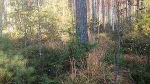 Перемены на пороге