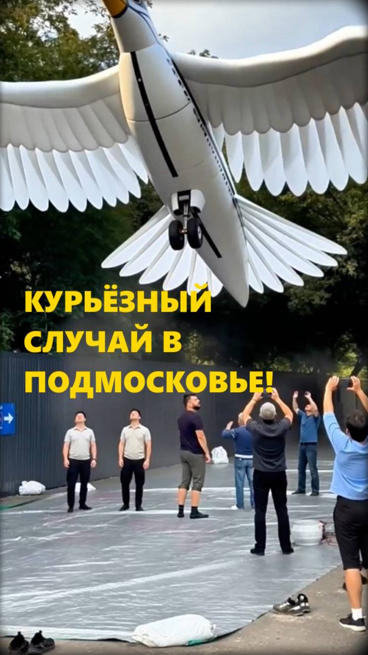 КУРЬЁЗНЫЙ СЛУЧАЙ В ПОДМОСКОВЬЕ! смотреть онлайн