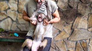 СМЕШНО ДО СЛЕЗ! Мы пытаемся проверить РЕЗУЛЬТАТЫ ТЕСТА НА БЕРЕМЕННОСТЬ, но Люсю просто так не взять