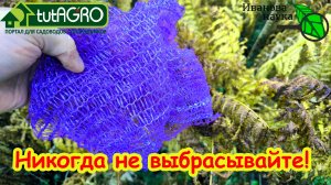 НИКОГДА НЕ ВЫБРАСЫВАЙТЕ! 10 способов использовать сетку для овощей.