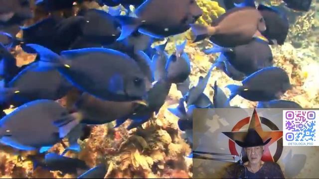 Этология Власти и Биологические корни Политики - часть II