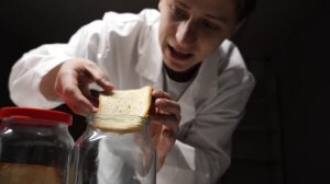 ГДЕ ПЛЕСЕНЬ РАЗОВЬЕТСЯ БЫСТРЕЕ, А ГДЕ МЕДЛЕННЕЕ?