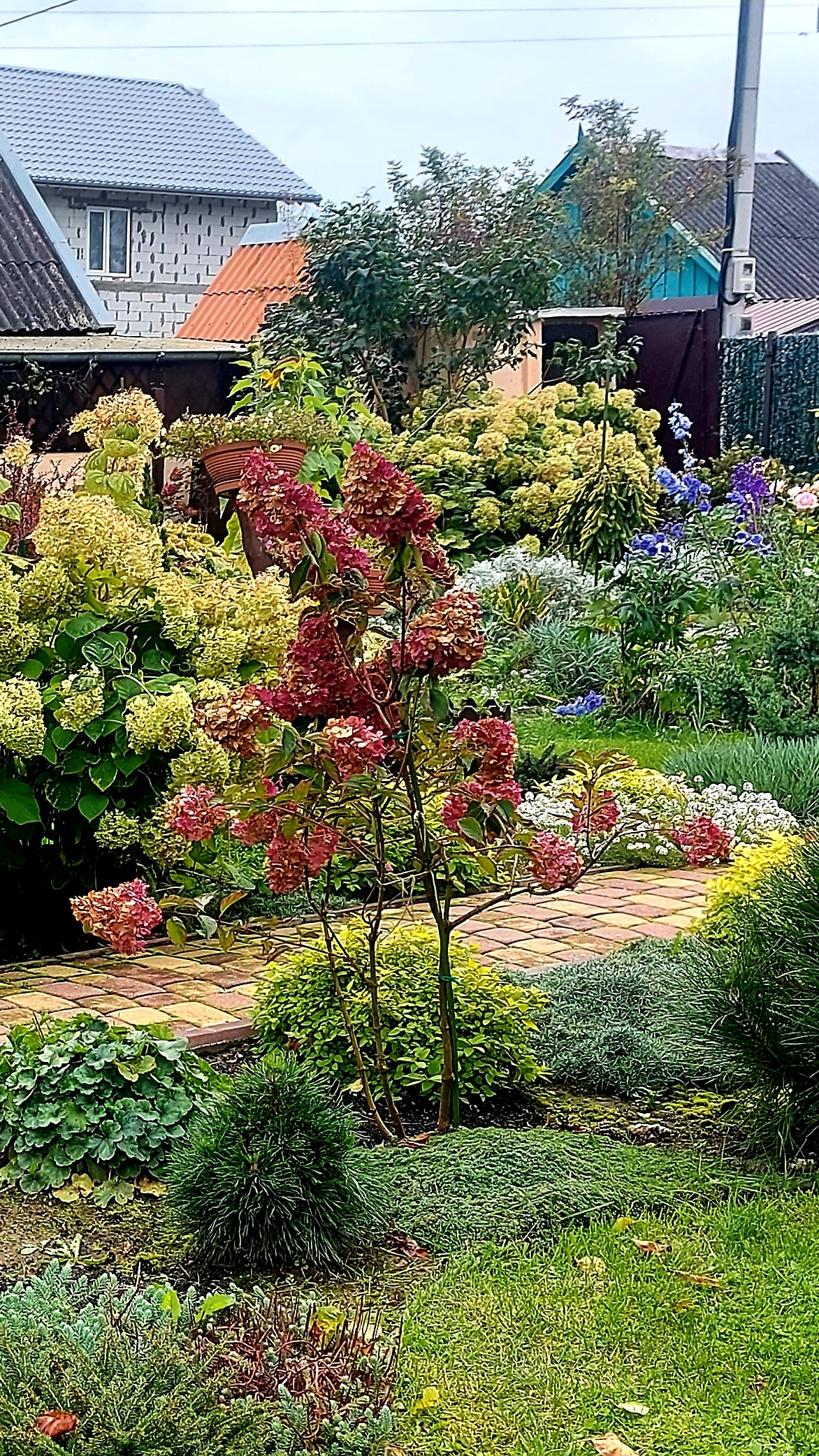 Дача.Октябрь.Вечерело.🍁🌤🍂 смотреть онлайн