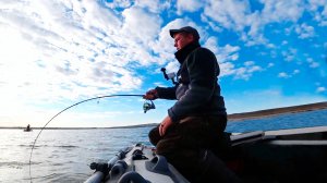 Злые судаки и неподъёмные рыбины! Рыбалка на спиннинг