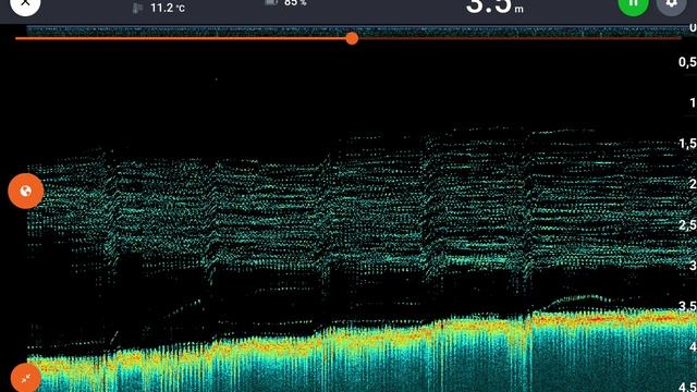 Эхолот DEEPER CHIRP +3 обзор и практика использования смотреть онлайн