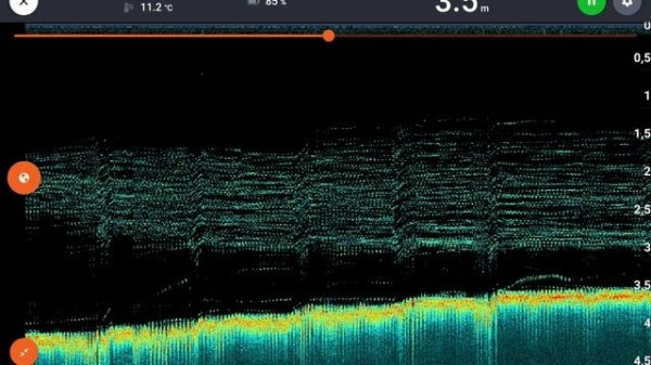 Эхолот DEEPER CHIRP +3 обзор и практика использования
