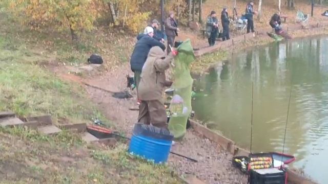 WhatsApp Video 2025-10-10 at 10.03.00 смотреть онлайн