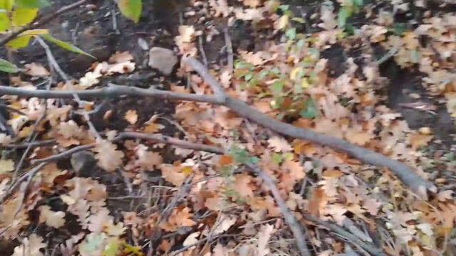 Зона сталкера.Часть 1