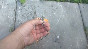 Моя оснастка/рыбалка на сома