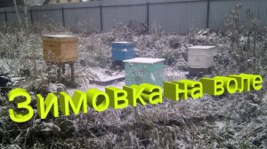 Сберегите пасеку! Зимовка на воле по методу Кашковского