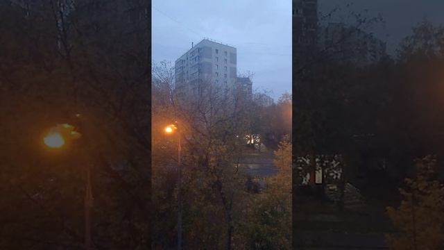 бьлтпнг смотреть онлайн