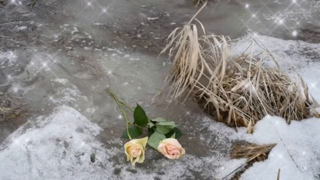 ПОКРОВСКАЯ РОДИТЕЛЬСКАЯ СУББОТА🙏 Светлая память ушедшим близким! 🕯 смотреть онлайн