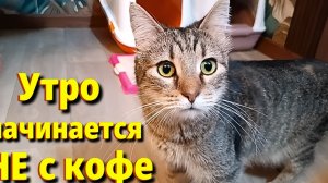 Утро начинается не с кофе.