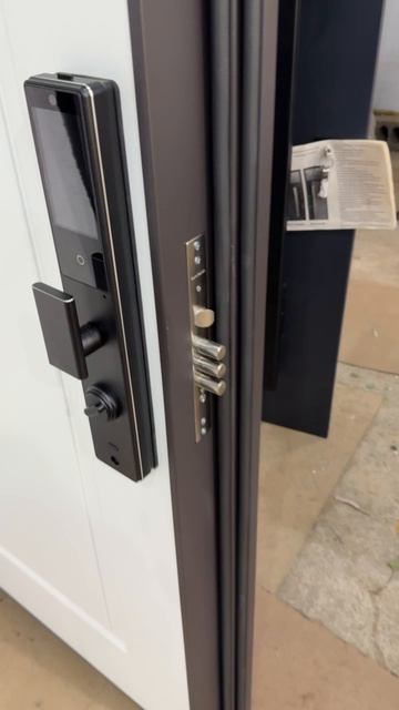 Дверь с умным замком Dircode T-850