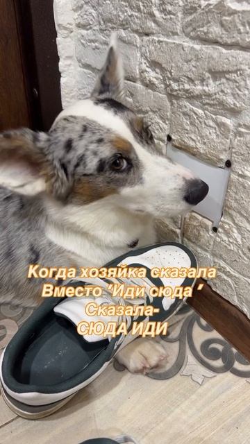 Когда от переменные мест слов всё меняется смотреть онлайн