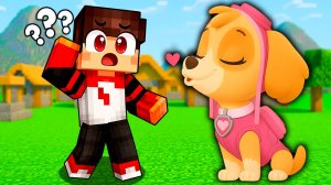 😘 СКАЙ ЩЕНЯЧИЙ ПАТРУЛЬ хочет МЕНЯ ПОЦЕЛОВАТЬ В МАЙНКРАФТЕ!