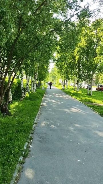 Архангельск ❤ Летний день прогулка по Аллее улицы Логинова смотреть онлайн