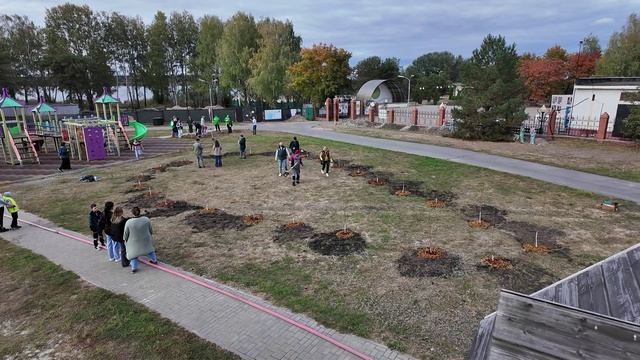 Сквер доноров заложили на территории базы отдыха «Вместе Парк» смотреть онлайн