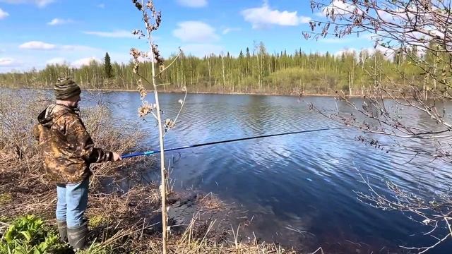 Мощная щука на спиннинг смотреть онлайн