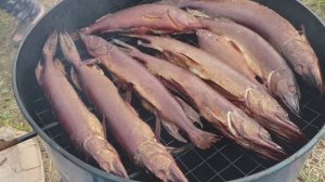 Коптим щуку в домашней самодельной коптильне. 🐟 Домашняя томатная паста. 🍅🍅🍅