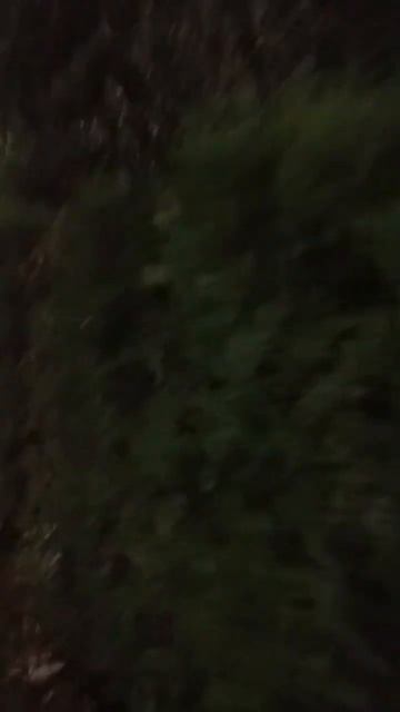 Душанбе вечером