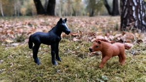 Фотосет лошадей шляйх 🐎