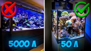 Лучший размер морского аквариума для новичка