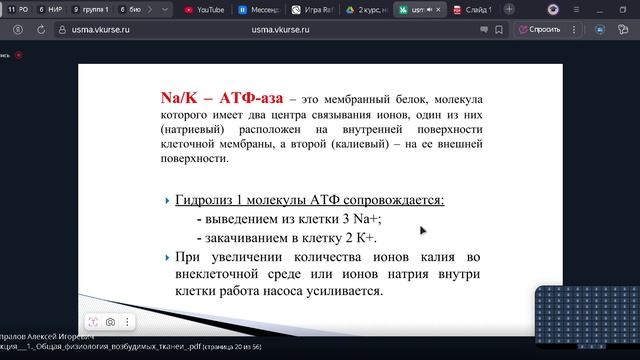 возбудимые ткани 1