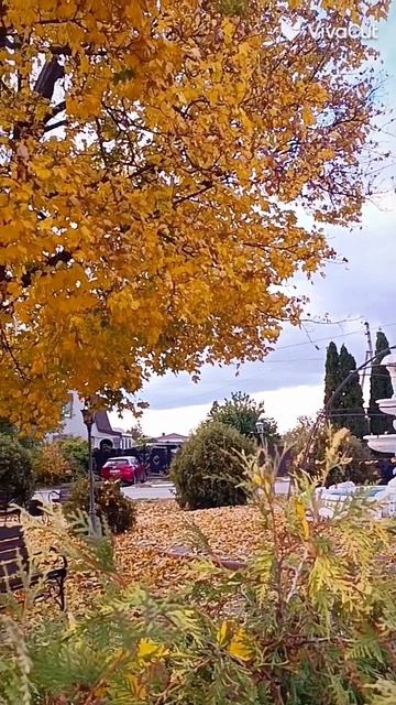 осенние акварели, поселок Белокуракино