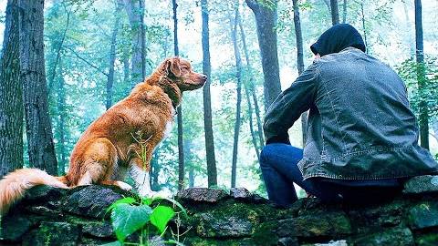 Глазами пса — Русский трейлер #2 (Дубляж, 2025) смотреть онлайн