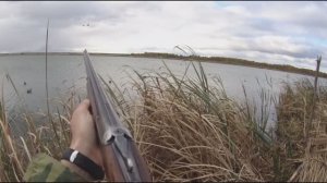 Охота на утку с чучёлами на озере осенью.