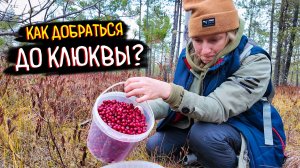 Как ДОБРАТЬСЯ до КЛЮКВЫ? Еле ВЫЕХАЛИ! 🤯 ЛАЙФХАК: Почему я выкинул салонный фильтр на зиму?