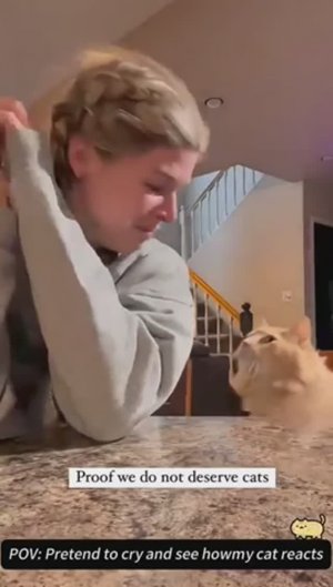 Просто посмотрите!