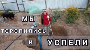 ТРИ ДНЯ СПЕШКИ В ДВЕ ЛОПАТЫ и ЧЕТЫРЕ ЛАПЫ ПОДНЯЛИ СЕМЬ КУБОВ ЗЕМЛИ.