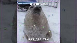Циферки хорошо бы знать)