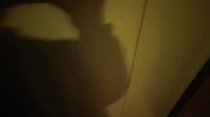 Лифт ЩЛЗ 2007 г