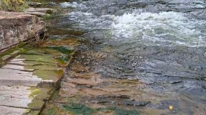 ЗАГАДКИ Природы («нарезы» на берегу реки Куленги), 20250907_132414