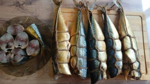 Скумбрия холодного копчения в термокамере Профессионал Умный Дым