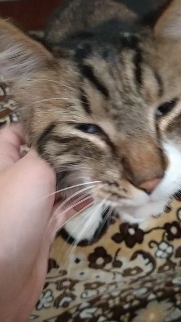 Боня хочет кушать смотреть онлайн