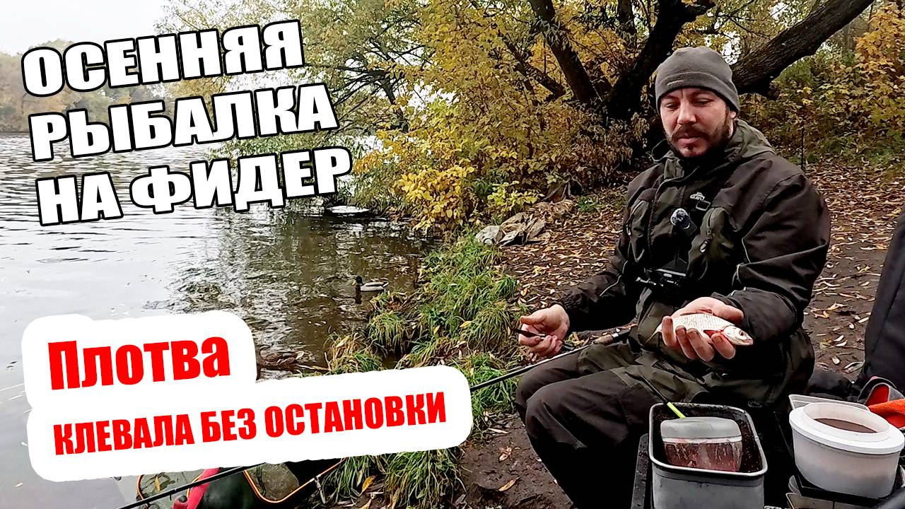 Осенняя рыбалка на фидер — плотва не давала скучать! смотреть онлайн