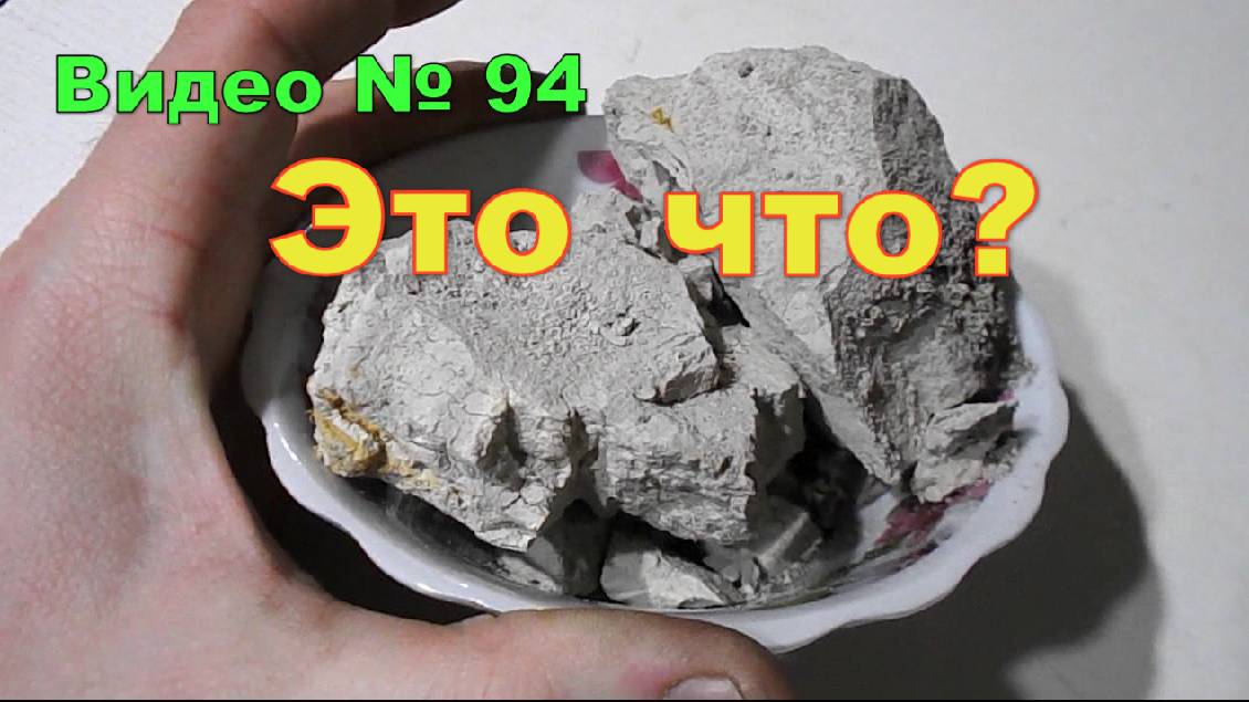 Что за порода? Видео вопрос. смотреть онлайн