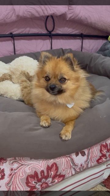 Мирочка 💖💖💖 смотреть онлайн