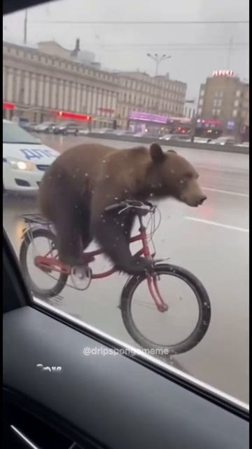 На улицах Москвы все стабильно