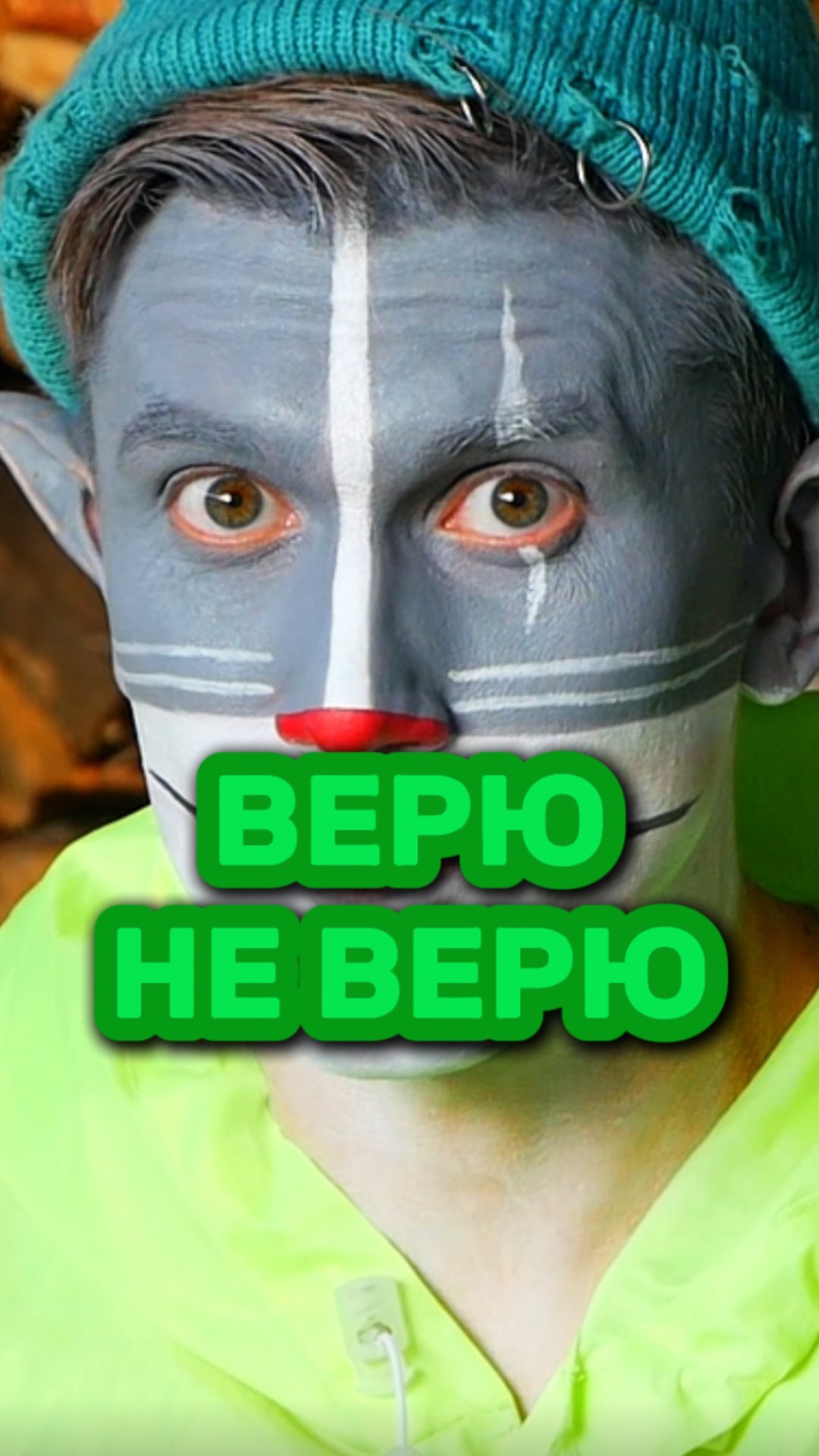 Кот Учёный и Муха 🪰 смотреть онлайн