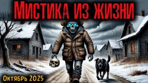 МИСТИКА ИЗ ЖИЗНИ | Страшные истории