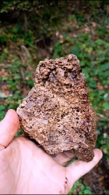 Травертин.mp4