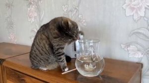 Опыты от а ну ка давай ка