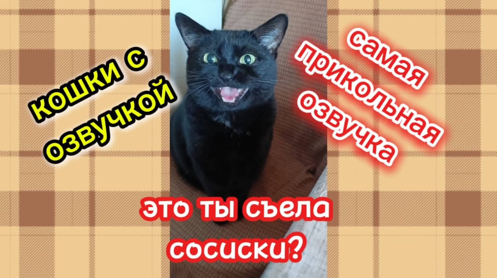САМАЯ ПРИКОЛЬНАЯ ОЗВУЧКА КОШЕК! смотреть онлайн